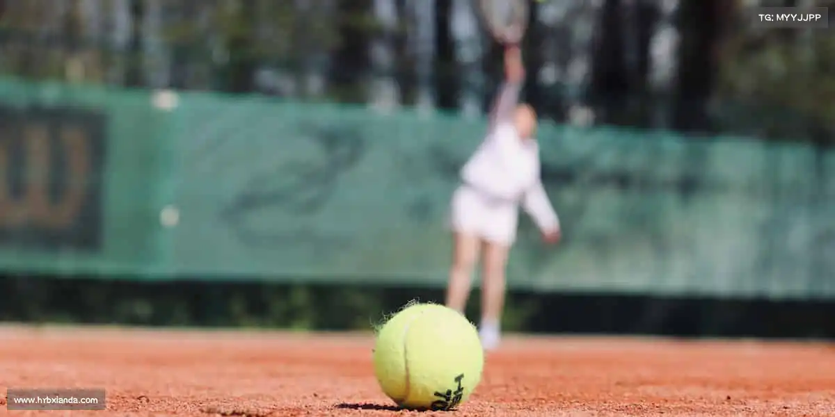 j9国际版——飞盘传情,快乐传递🥏